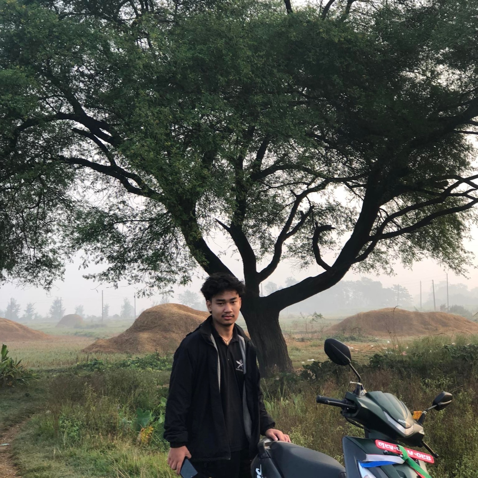 profile picture